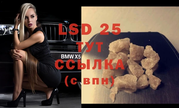 индика Баксан