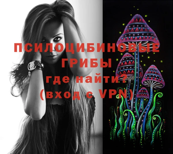 индика Баксан
