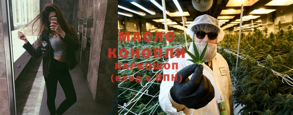 индика Баксан