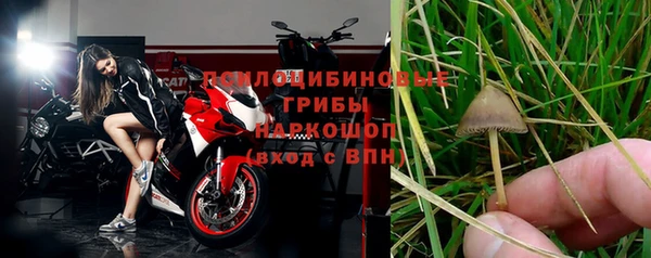 индика Баксан