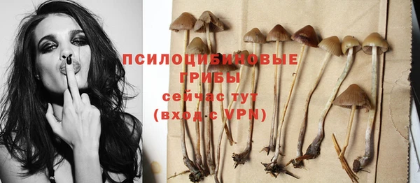 амф Балахна