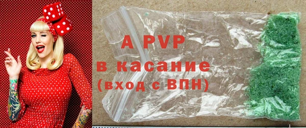 индика Баксан