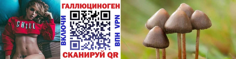 Псилоцибиновые грибы Psilocybine cubensis блэк спрут ссылки Ленск